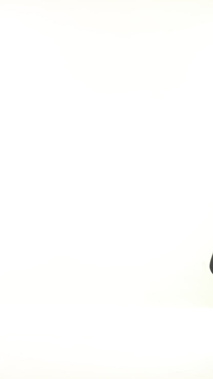 Black Stylish Made In Italy Designer Hoodie