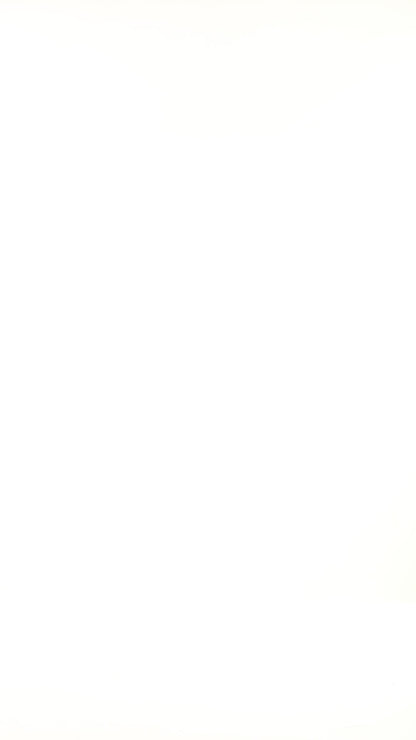 Grey & Black Zebra Print Top