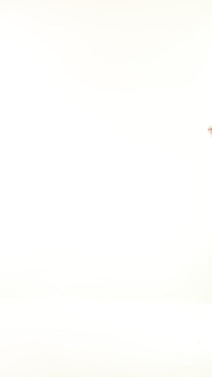 Chocolate Ribbed Delight Soft Top