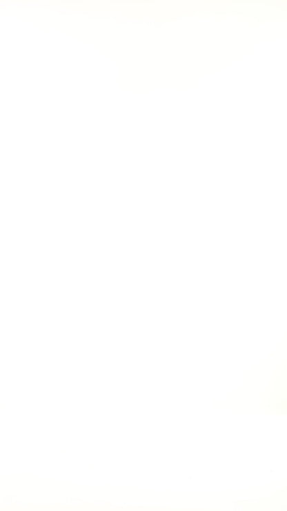 White black  Zebra Print Top