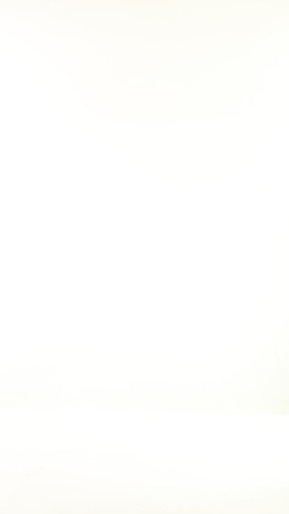 Tabacco Black & Zebra Print Top