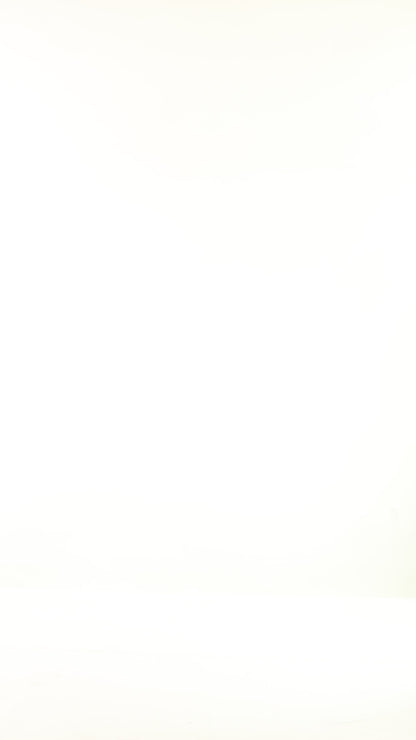 Mustard Brown Print Mesh Top 9066-11