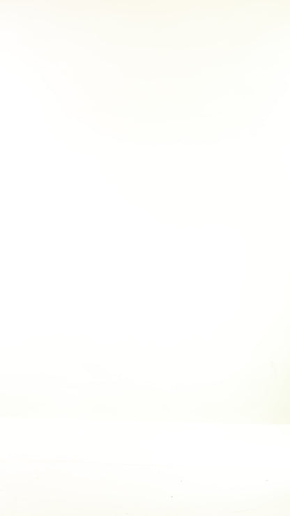 Tobacco color love rock Top