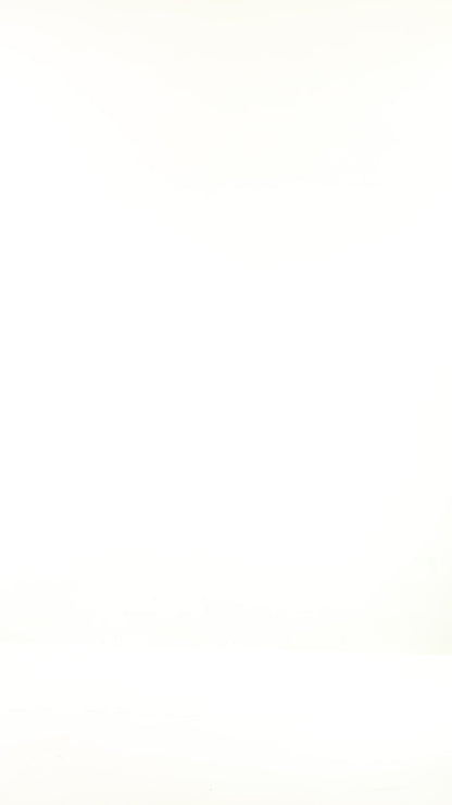 Mesh White Half Sleeves Top