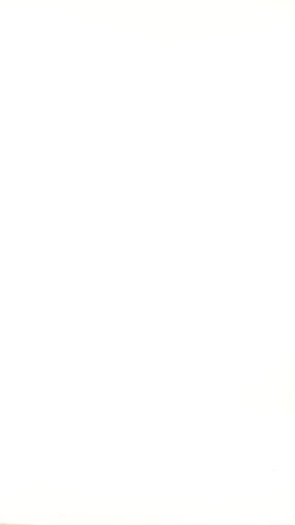 Black Turtle Neck Cozy Sweater Top