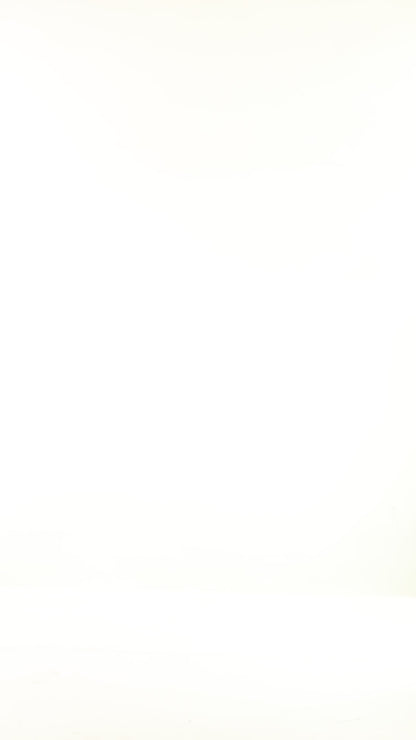 OL Leaf Print Mesh Top