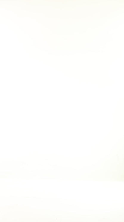 Denim Blue 100% Cotton Trench Coat