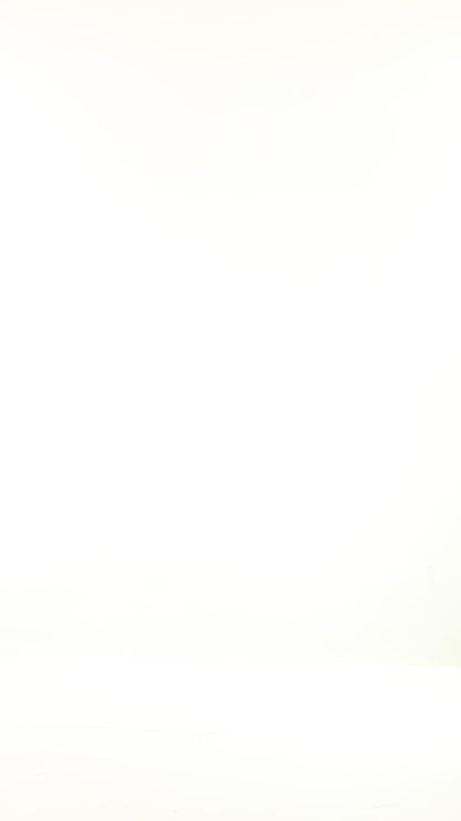 Jeans Color 100% Cotton V Neck Top