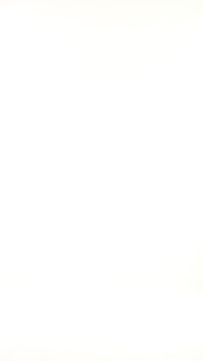 Black Batwings Style Soft Ravishing Top