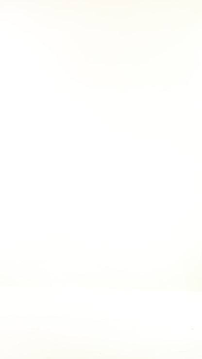 Off White Turtleneck Neck Cozy Sweater Top