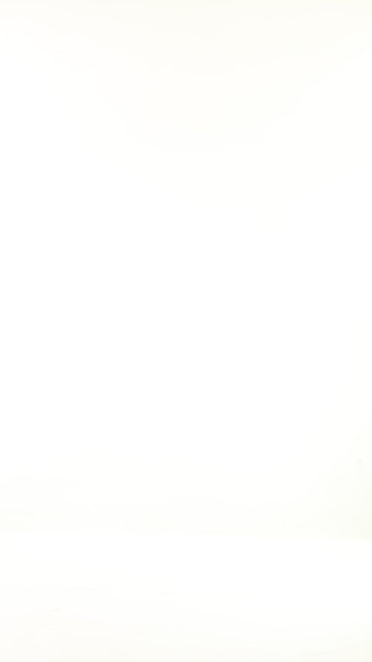 Green Future Dream Quilted Vest