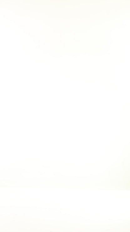 Olive 100% Cotton Fringe Neck Top