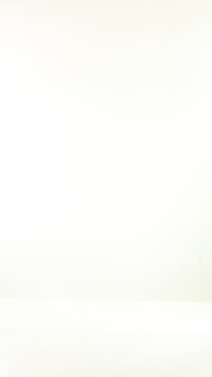 Black Button Detailed Dress With Zipper