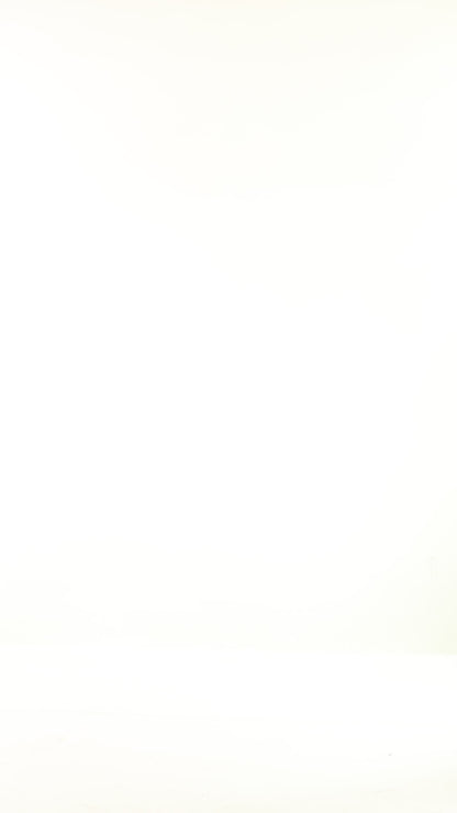 Chocolate Color Top With Leopard Print Scarf