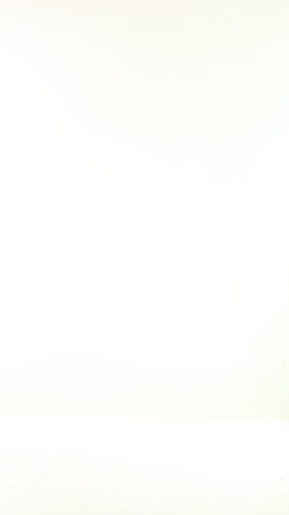 Rust Top With Leopard Print Scarf