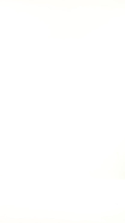 Rust shiny v neck Top