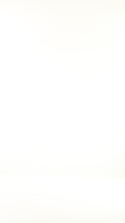 Coral 100% Cotton Trench Coat