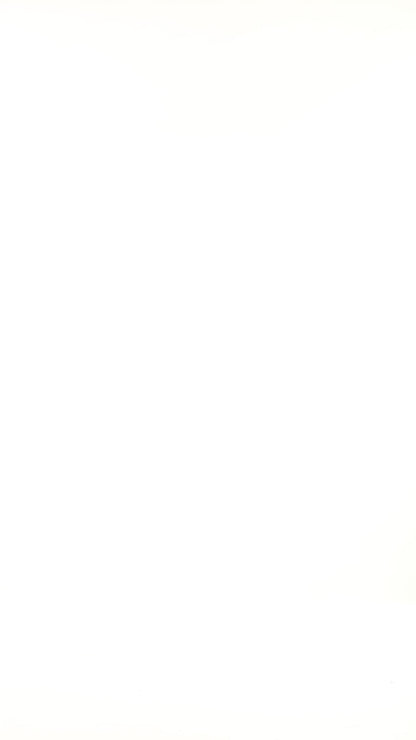 Olive Top With Leopard Print Scarf