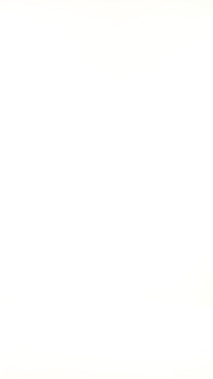 Gold horizontal strips Shiny Top